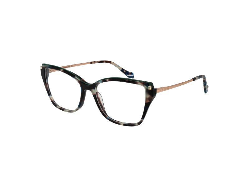 Ana Hickmann Lunettes de Vue AH 6476 G22