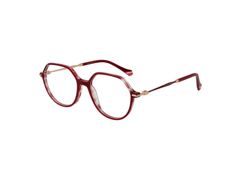 Ana Hickmann Lunettes de Vue AH 6480 H02