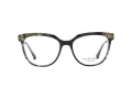 Ana Hickmann Lunettes de Vue AH 6490 C02