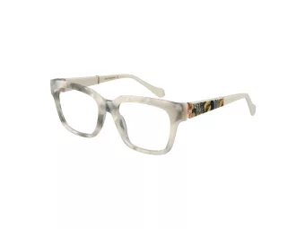 Ana Hickmann Lunettes de Vue AH 6492 G21