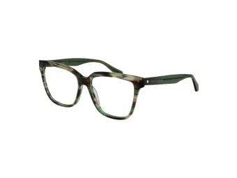 Ana Hickmann Lunettes de Vue AH 6497 E02