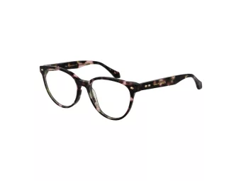 Ana Hickmann Lunettes de Vue AH 6509 G21