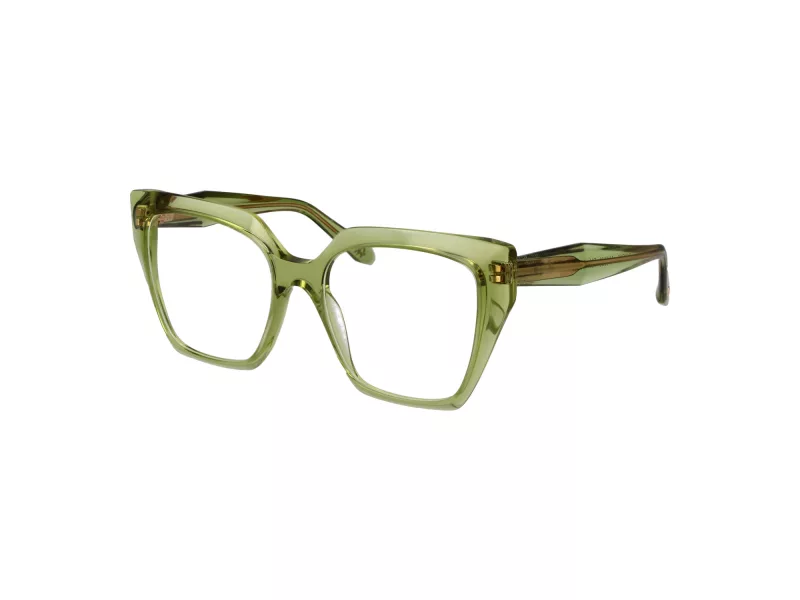 Ana Hickmann Lunettes de Vue AH 6588 T01