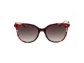 Ana Hickmann Lunettes de Soleil AH 9347 C02