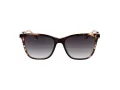 Ana Hickmann Lunettes de Soleil AH 9348 C01