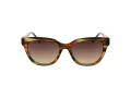 Ana Hickmann Lunettes de Soleil AH 9356 E02