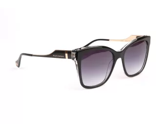 Ana Hickmann Lunettes de Soleil AH 9381 H01
