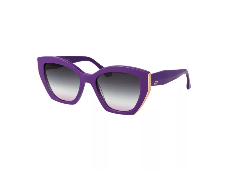 Ana Hickmann Lunettes de Soleil AH 9464 D01