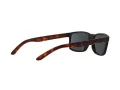 Arnette Slickster Lunettes de Soleil AN 4185 227381