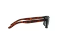 Arnette Slickster Lunettes de Soleil AN 4185 227381