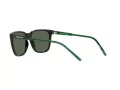Arnette Cortex Lunettes de Soleil AN 4291 27539A