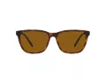 Arnette Cortex Lunettes de Soleil AN 4291 277083