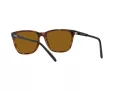Arnette Cortex Lunettes de Soleil AN 4291 277083