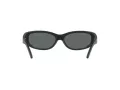 Arnette Catfish Lunettes de Soleil AN 4302 275881