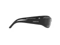 Arnette Catfish Lunettes de Soleil AN 4302 275881