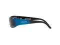 Arnette Catfish Lunettes de Soleil AN 4302 281880