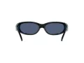Arnette Catfish Lunettes de Soleil AN 4302 281880