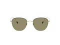 Giorgio Armani Lunettes de Soleil AR 6048 30132A