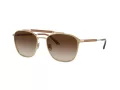 Giorgio Armani Lunettes de Soleil AR 6149 300213