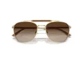 Giorgio Armani Lunettes de Soleil AR 6149 300213