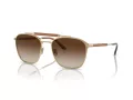 Giorgio Armani Lunettes de Soleil AR 6149 300213