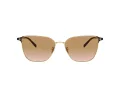 Giorgio Armani Lunettes de Soleil AR 6155 301313