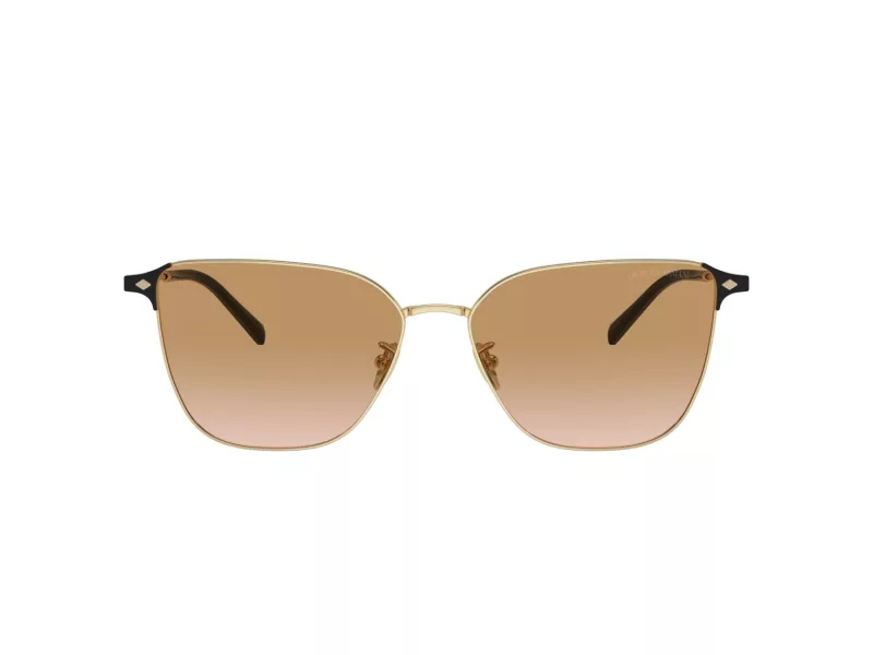 Giorgio Armani Lunettes de Soleil AR 6155 301313