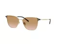 Giorgio Armani Lunettes de Soleil AR 6155 301313