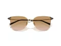 Giorgio Armani Lunettes de Soleil AR 6155 301313