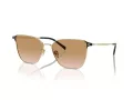 Giorgio Armani Lunettes de Soleil AR 6155 301313