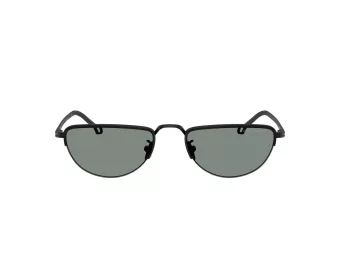 Giorgio Armani Lunettes de Soleil AR 6166J 300111