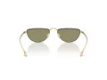 Giorgio Armani Lunettes de Soleil AR 6166J 30022A