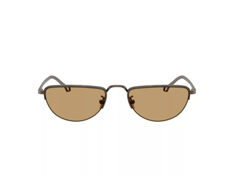 Giorgio Armani Lunettes de Soleil AR 6166J 300673