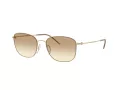 Giorgio Armani Lunettes de Soleil AR 6168 300213