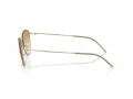 Giorgio Armani Lunettes de Soleil AR 6168 300213