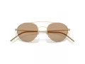 Giorgio Armani Lunettes de Soleil AR 6169 300263