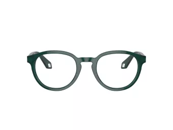 Giorgio Armani Lunettes de Vue AR 7248 6044