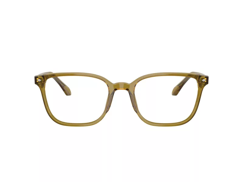 Giorgio Armani Lunettes de Vue AR 7265 6172