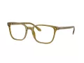 Giorgio Armani Lunettes de Vue AR 7265 6172