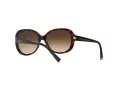 Giorgio Armani Lunettes de Soleil AR 8047 502613