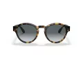 Giorgio Armani Lunettes de Soleil AR 8146 587486