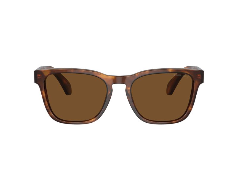 Giorgio Armani Lunettes de Soleil AR 8155 598857