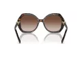 Giorgio Armani Lunettes de Soleil AR 8180 502613