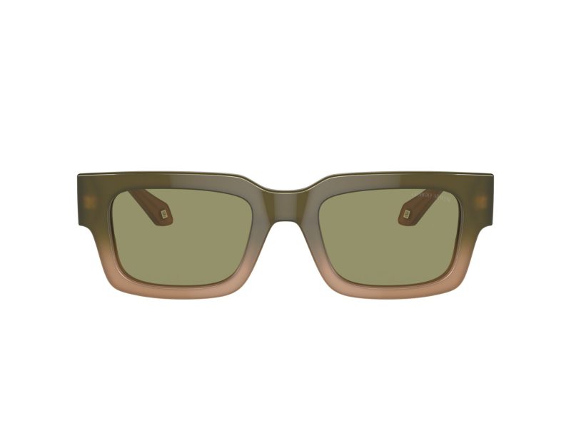 Giorgio Armani Lunettes de Soleil AR 8184U 598214