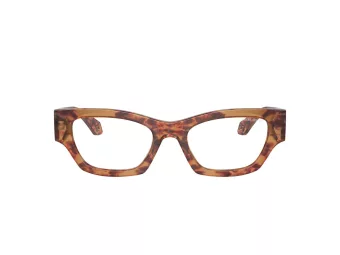 Giorgio Armani Lunettes de Soleil AR 8185U 59781W