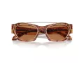 Giorgio Armani Lunettes de Soleil AR 8185U 59781W