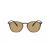 Giorgio Armani Lunettes de Soleil AR 8186U 508973