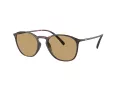 Giorgio Armani Lunettes de Soleil AR 8186U 508973