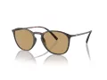 Giorgio Armani Lunettes de Soleil AR 8186U 508973