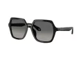 Giorgio Armani Lunettes de Soleil AR 8193U 500119